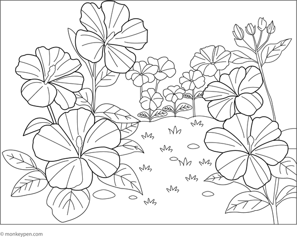 Printable coloring page of a small garden filled with tropical hibiscus flowers.