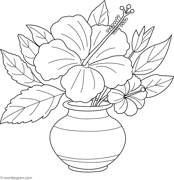 Coloring page of hibiscus flowers arranged in a simple vase, suitable for children.