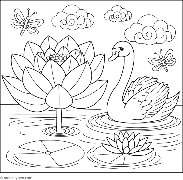 Coloring page of an elegant swan gliding past a blooming lotus flower.