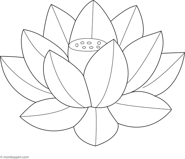 Simple coloring page of a single lotus flower with clean outlines suitable for young children.