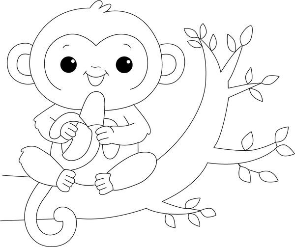 Monkey Coloring Book