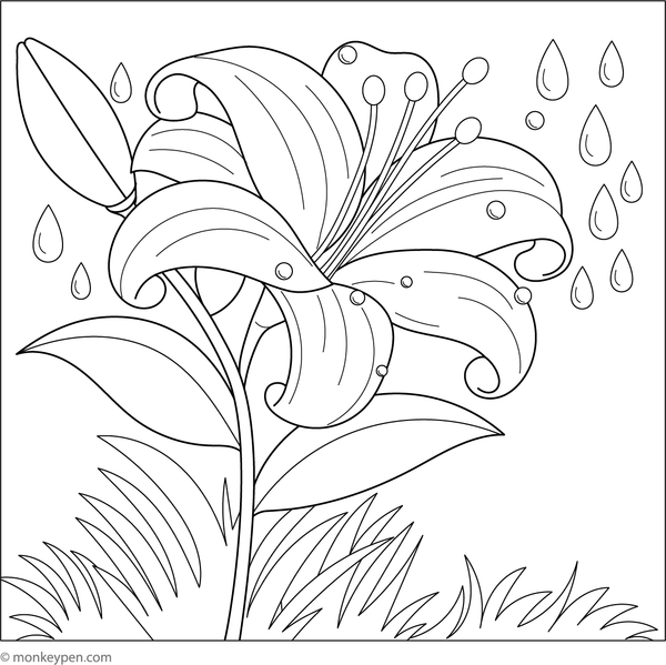 Printable coloring page of a lily adorned with shining dewdrops on its petals, ideal for creative coloring exercises.