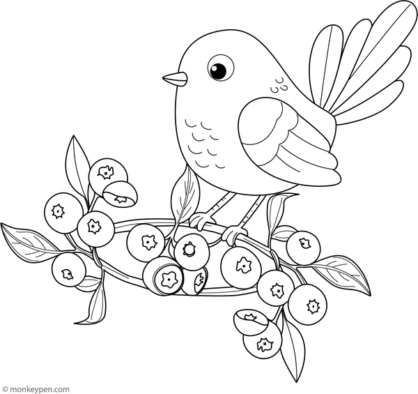 Coloring page with blueberries and a bird perched nearby.