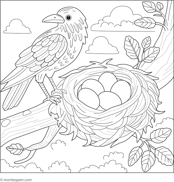 Free printable colouring page of a crow watching over a nest filled with eggs