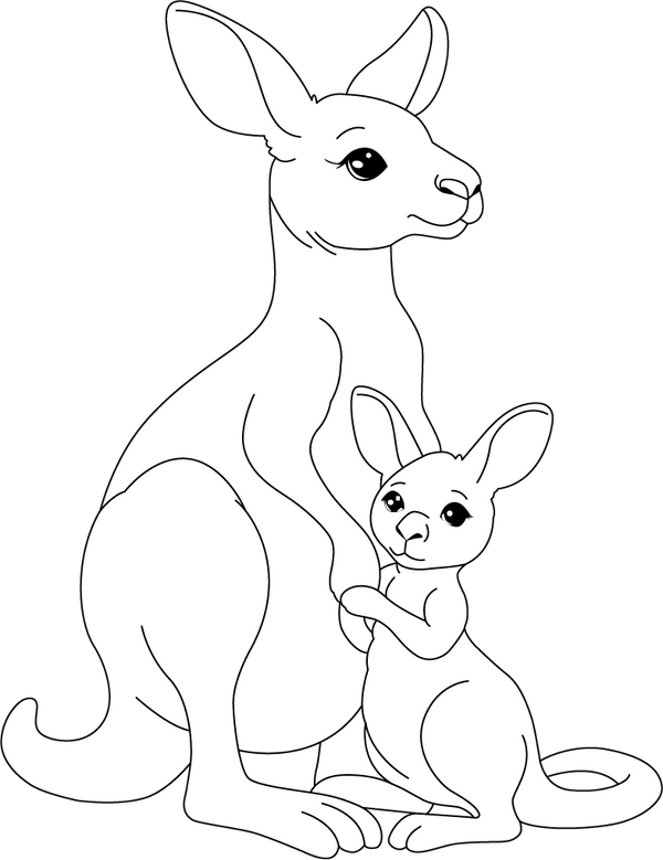 Kangaroo With baby coloring page – fun and educational printable for children
