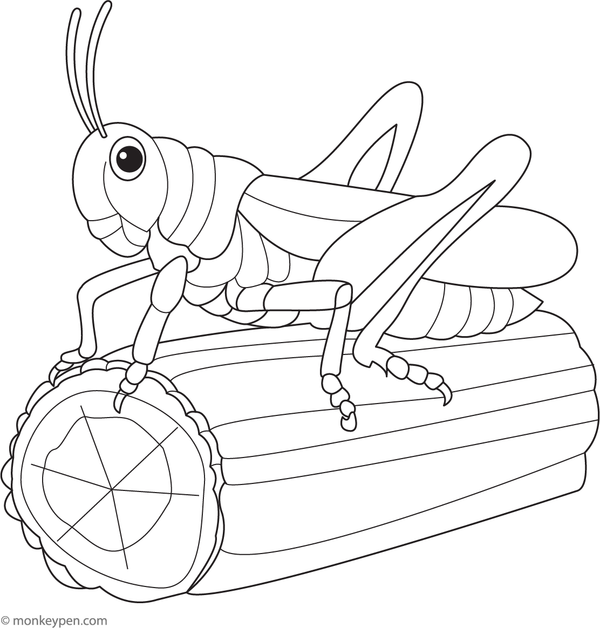 Coloring page of a grasshopper leaping over a fallen log in a forest clearing