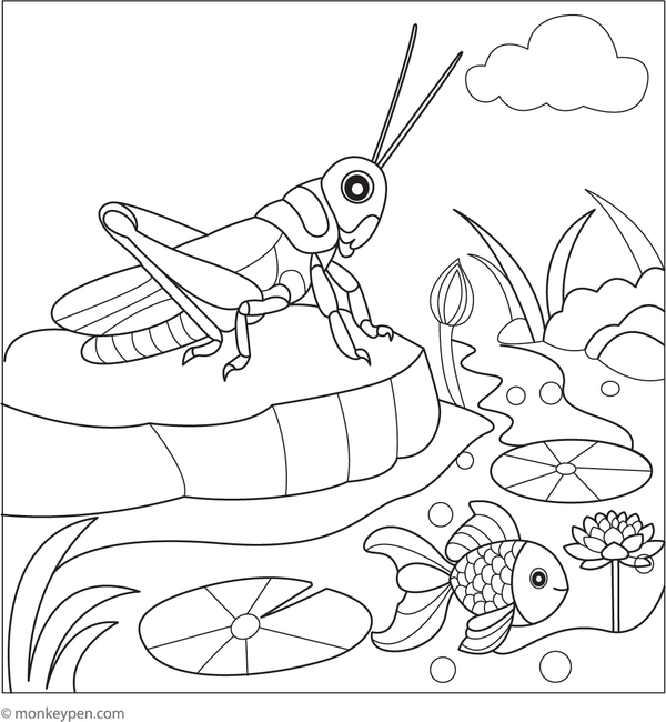 Printable coloring page of a grasshopper sitting beside a pond with lily pads and reeds.
