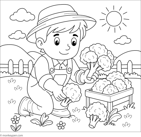 Coloring page depicting several broccoli plants growing in orderly rows.