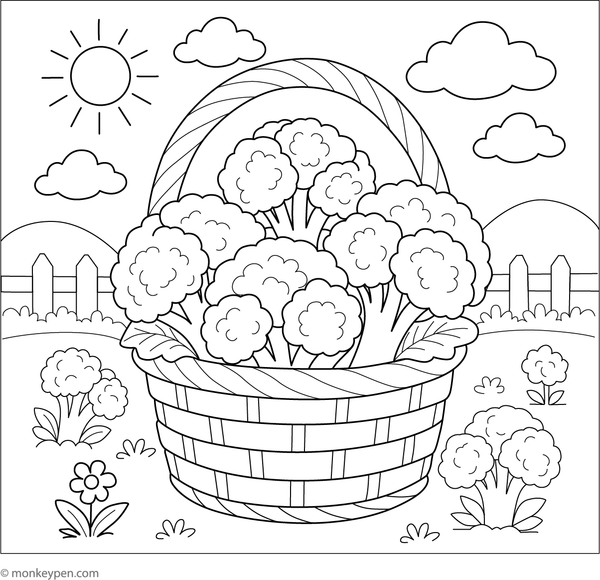 Coloring page showing fresh broccoli heads placed inside a woven basket.