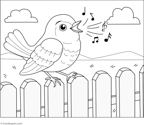 Robin singing on a wooden fence in a bright outdoor scene.