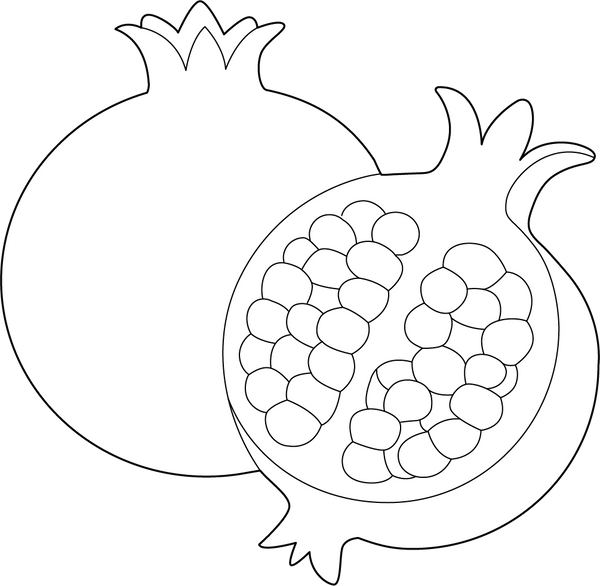 Pomegranate coloring page – fun and educational printable for children