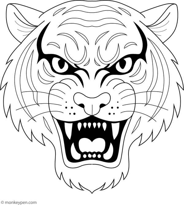 Detailed tiger face coloring page with bold stripes and expressive eyes.
