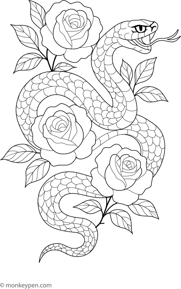 Coloring page of a tattoo-style snake coiled among blooming roses.