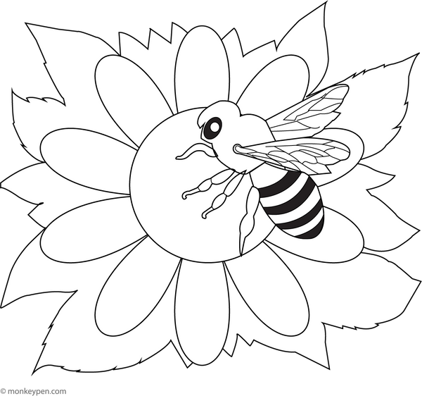 Realistic Bee and Sunflower Coloring Page