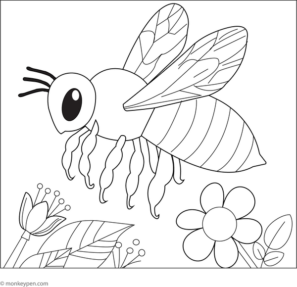 Realistic Bee Coloring Page