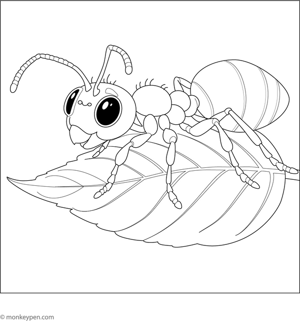 Leafcutter Ant Coloring Page – fun and educational printable for children
