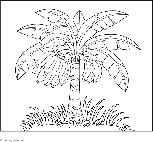 Banana Tree Coloring Page