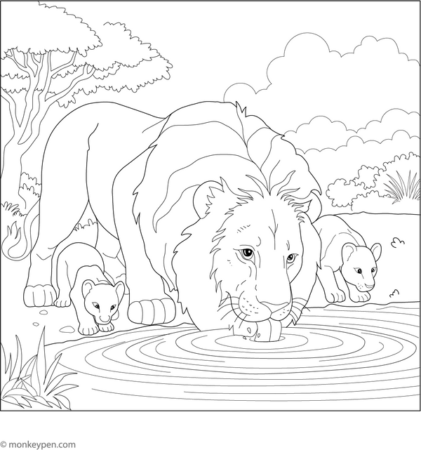 Printable Lion Coloring Book