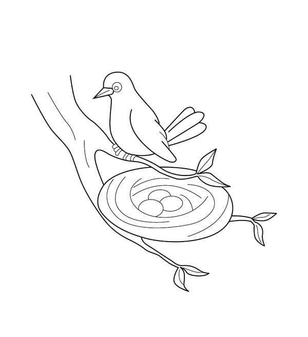 Nest coloring page – printable animal drawing for children