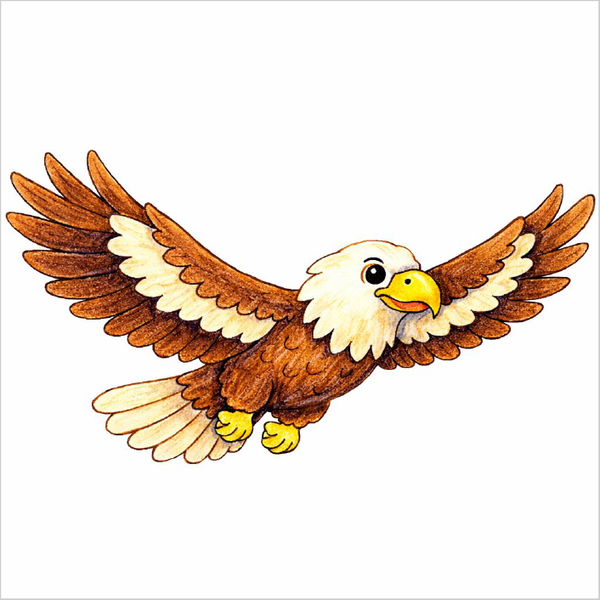 How to Draw a Flying Eagle – Easy Bird in Flight Drawing for Kids