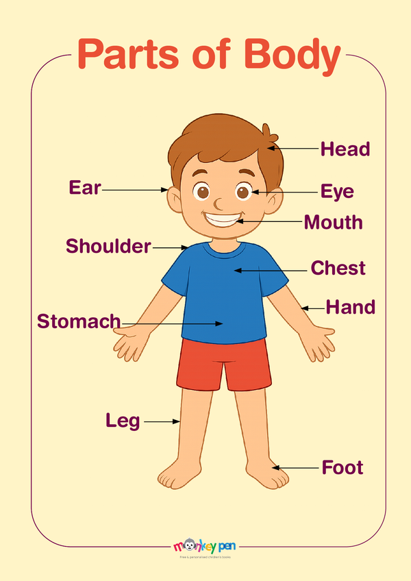 Educational printable chart of human body parts with labeled body regions and a simple illustration.
