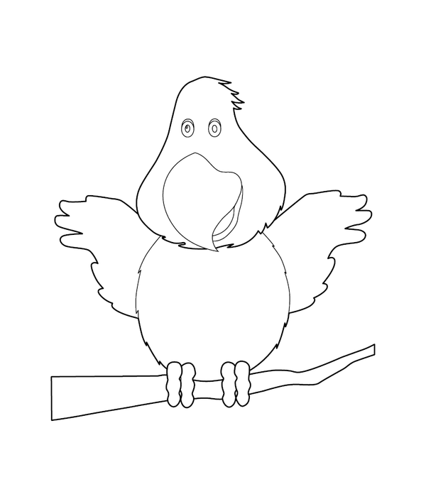 Parrot Coloring page – printable animal drawing for children