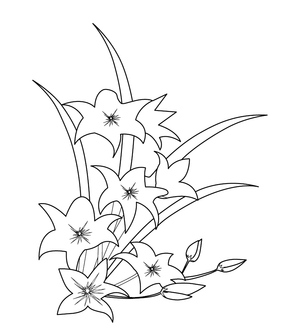 Daffodils coloring page – fun and educational printable for children