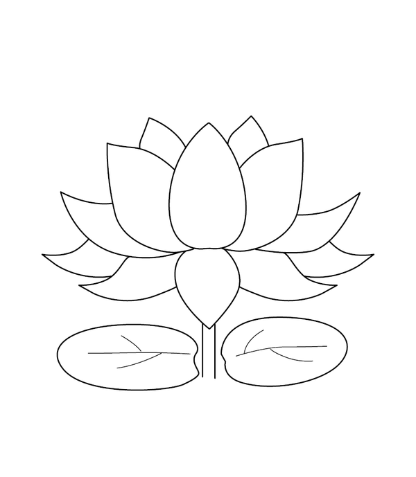 Lotus coloring page – fun and educational printable for children