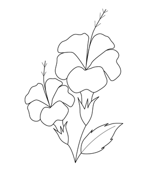 Hibiscus flowers coloring page – fun and educational printable for children