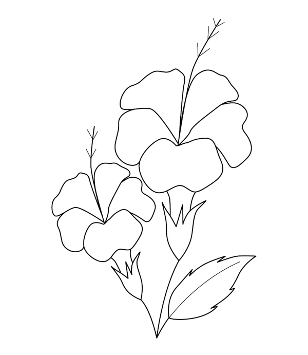 Hibiscus flowers coloring page – fun and educational printable for children