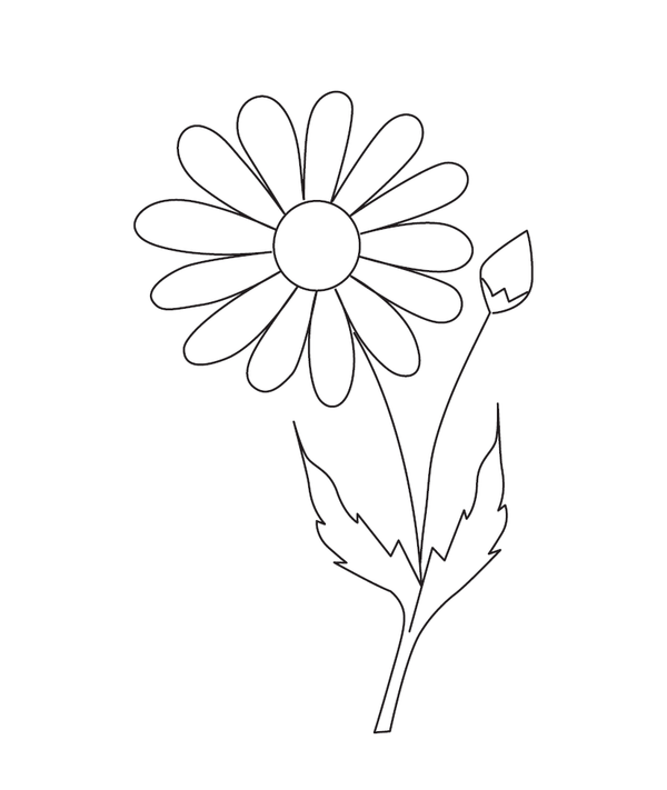 Daisy with a bud and leaves coloring page – fun and educational printable for children