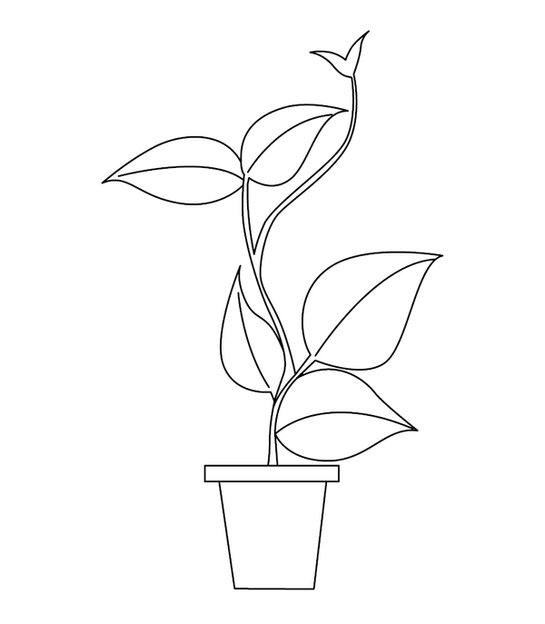 Beautiflu plant image coloring page – fun and educational printable for children