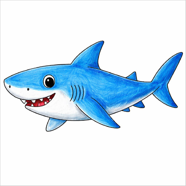 How to Draw a Shark – Easy Ocean Predator Drawing for Kids