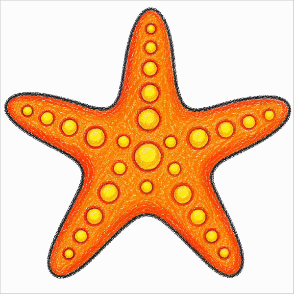 How to Draw a Starfish – Easy Ocean Creature Drawing for Kids