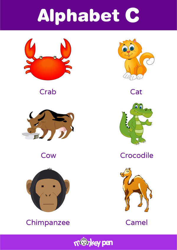 Alphabet C poster for kids with vibrant visuals to help early learners master the letter C.