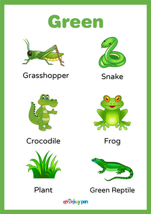 A poster designed to help kids learn green color objects, featuring a grasshopper, snake, crocodile, frog, plant, and a green reptile.