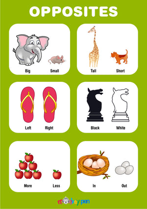 Opposite Words Poster showing pairs like big/small, tall/short, and in/out, used to teach kids basic vocabulary and concepts.