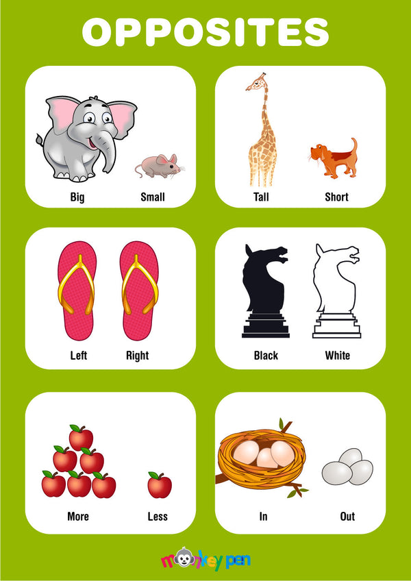 Opposite Words Poster showing pairs like big/small, tall/short, and in/out, used to teach kids basic vocabulary and concepts.