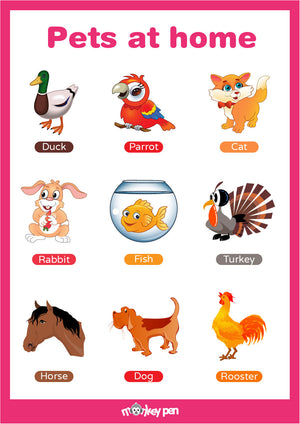 A colorful poster introducing common pet animals like dogs, cats, rabbits, birds, and fish with illustrations and names.