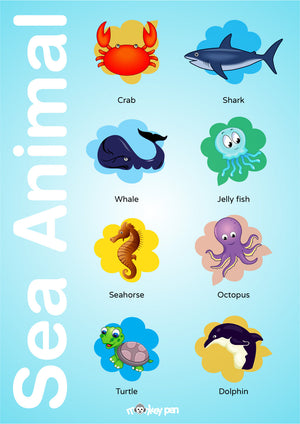 A Sea Animal Chart showing various marine creatures organized for easy identification and learning.