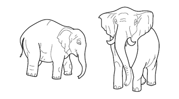 Elephant Colouring Picture | Free Colouring Book for Children