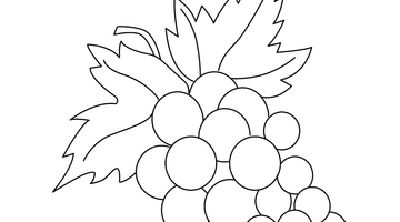 GRAPES COLOURING PICTURE FOR KIDS | Free Colouring Book for Children