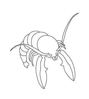 LOBSTER/ PRAWN COLOURING PICTURE | Free Colouring Book for Children