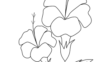ROSE MALLOW/ HIBISCUS COLOURING PICTURE | Free Colouring Book for Children