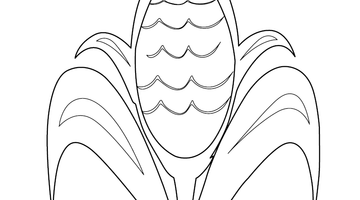 Sweet Corn Colouring Page | Free Colouring Book for Children