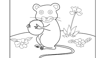 Beaver Colouring Image | Free Colouring Book for Children