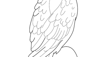 Eagle Colouring Image | Free Colouring Book for Children