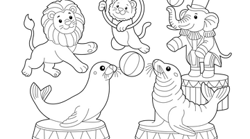 Circus Animal Acts Colouring Image | Free Colouring Book for Children