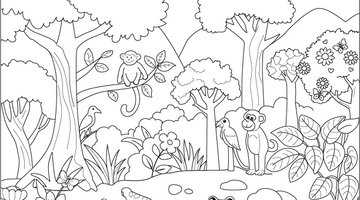 Rainforest Colouring Page | Free Colouring Book for Children