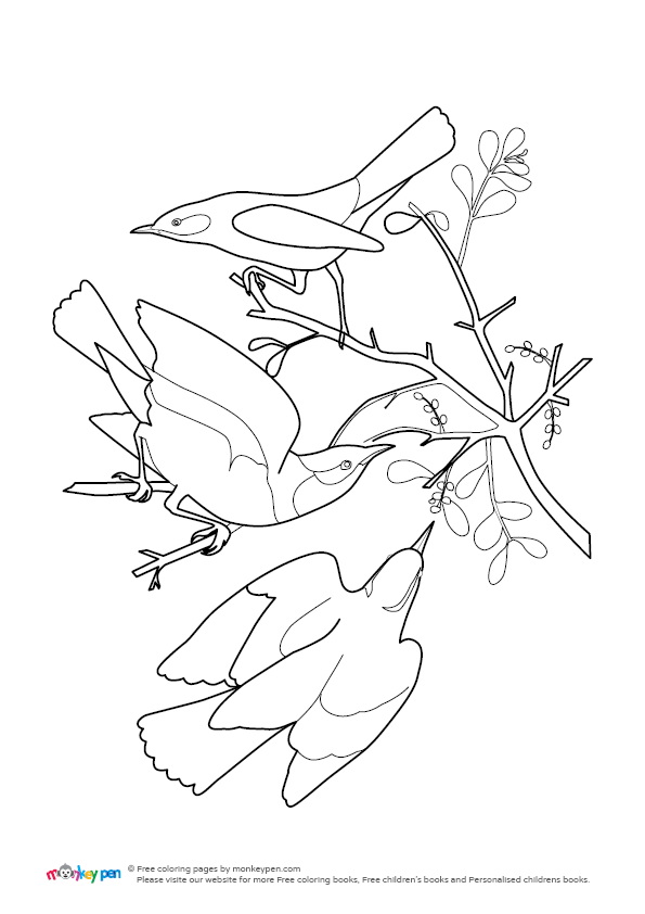 Bird Colouring Page | Free Colouring Book for Children – Monkey Pen Store